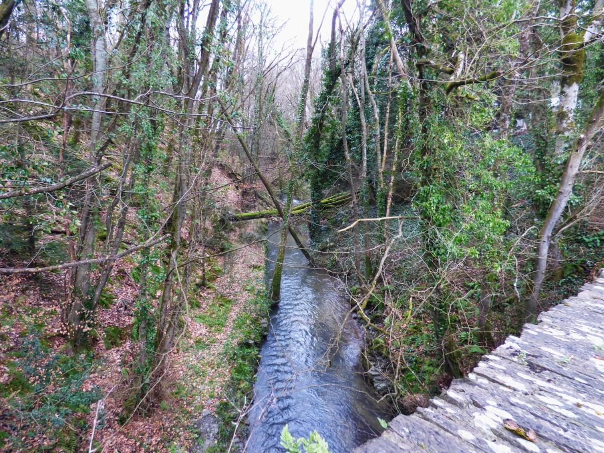The Mill Cottage Llechryd Buitenkant foto